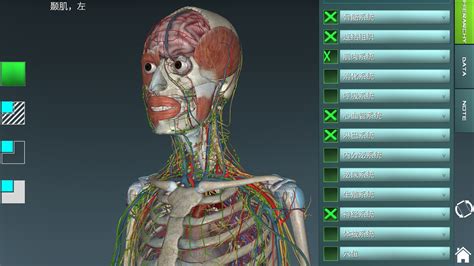 3d医学动画解剖软件(医学解剖3d软件推荐)缩略图