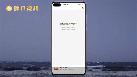 借钱软件微信,微信借钱软件缩略图