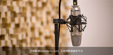 克隆声音软件(克隆声音软件手机版)缩略图