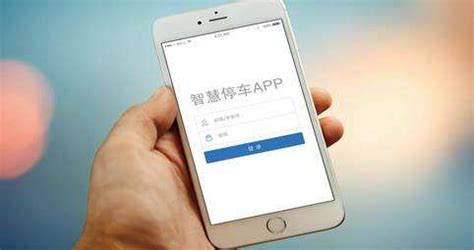 停车缴费APP(停车缴费app)缩略图