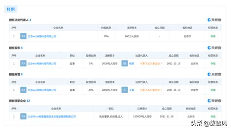 天眼查企业查询(天眼查企业查询入口)缩略图