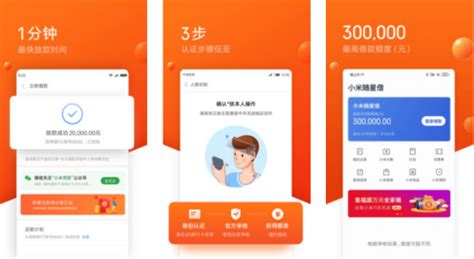 小米贷款(小米贷款随星借可靠吗)缩略图