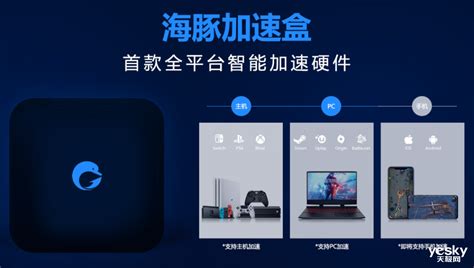 海豚加速盒,海豚加速盒还能用吗缩略图