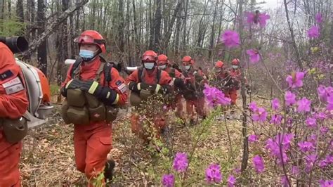 守卫森林(守卫森林手游)缩略图