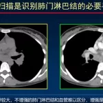 医学百科网(医学百科网站)缩略图