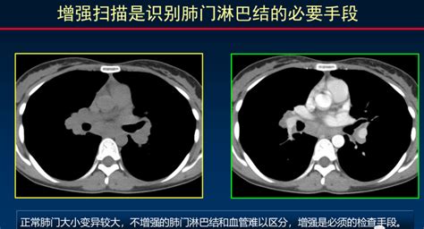 医学百科网(医学百科网站)缩略图