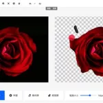 免费一键抠图(免费一键抠图神器)缩略图