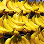 大香蕉手机版(大香蕉视频)缩略图