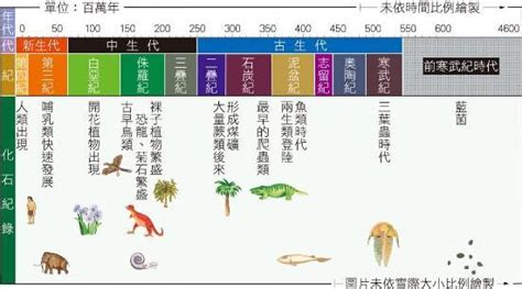 地球历史(地球历史时期划分)缩略图