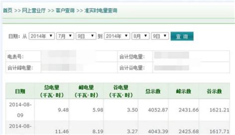 查询电费明细(查询电费明细的app)缩略图