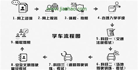 网上考驾照(网上考驾照教学视频)缩略图