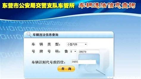 全国违章查询助手,全国违章查询助手下载缩略图