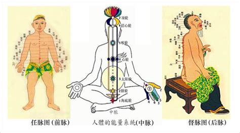 梦幻奇经八脉,梦幻奇经八脉怎么点缩略图