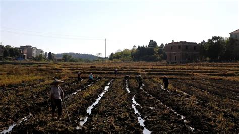 贞观富贵闲农(贞观富贵闲农小说最新章节)缩略图