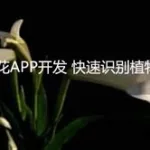 识别花草,识别花草的app缩略图