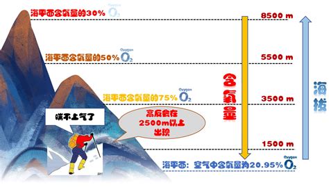 海拔高度表,海拔高度表示方法缩略图