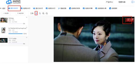 批量去水印,批量去水印的软件缩略图