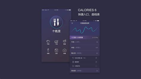 卡路里计算器app(卡路里计算器)缩略图