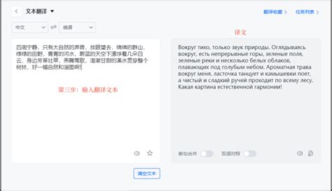 翻译有道在线翻译(翻译有道在线翻译英语)缩略图