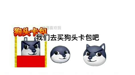 狗头卡包(狗头卡包图片)缩略图