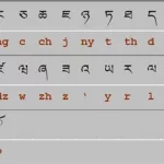 藏文词典(藏文词典软件下载)缩略图