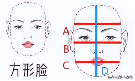 扫脸测发型(扫脸测发型APP免费)缩略图