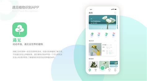 植物识图(植物识图在线识别)缩略图