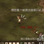 饥荒高脚鸟怎么打(饥荒高脚鸟怎么打无伤)缩略图