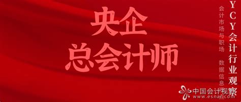 中国会计视野论坛(中国会计视野论坛官网)缩略图