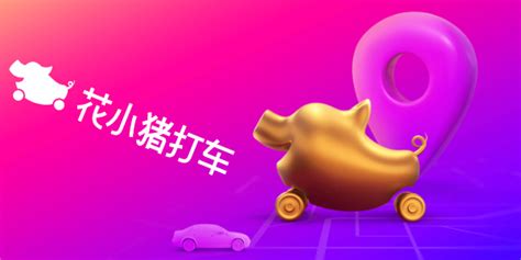 花小猪打车(花小猪打车怎么预约打车)缩略图