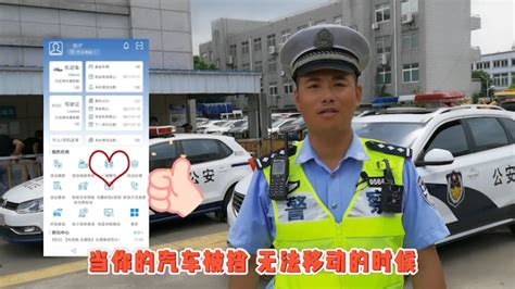 交警app,交警app12123官方版缩略图