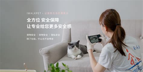 上门喂猫(上门喂猫多少钱一天)缩略图