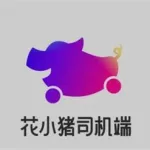 花小猪司机端,花小猪司机端注册缩略图