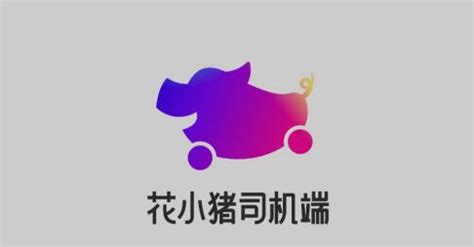 花小猪司机端,花小猪司机端注册缩略图