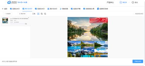 图片在线去水印(图片在线去水印网页版)缩略图