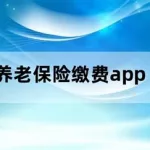 社保缴费app(社保缴费app官方下载)缩略图