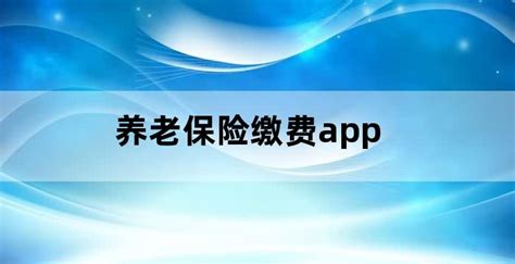 社保缴费app(社保缴费app官方下载)缩略图