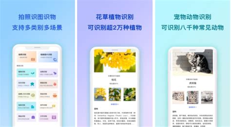 拍照识图(拍照识图的软件)缩略图