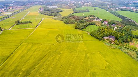 一亩田地,一亩田地的价格多少钱缩略图