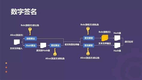 数字签名(数字签名名词解释)缩略图