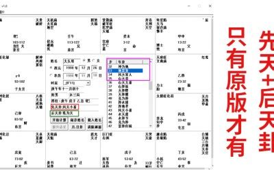 紫微斗数排盘软件,紫微斗数在线排局软件推荐缩略图