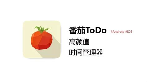 番茄todo官网(番茄todo官网免费)缩略图