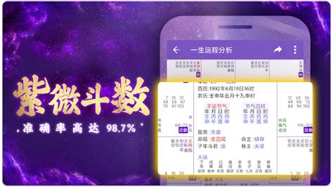紫微斗数软件,紫微斗数软件带解析缩略图