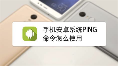 手机ping工具(手机ping工具下载)缩略图