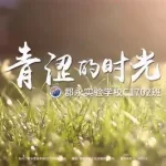 青涩时光,青涩时光歌曲缩略图