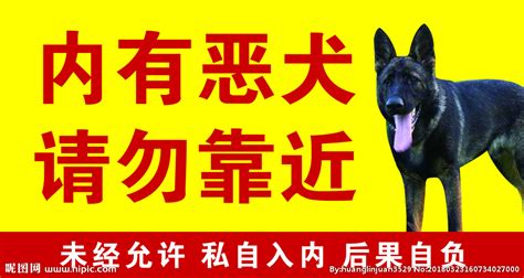 家有恶犬(家有恶犬下一句是什么)缩略图