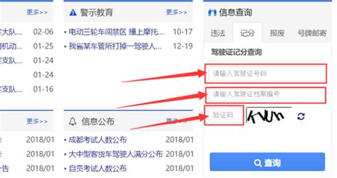 驾驶证号查询,驾驶证号查询官网入口缩略图