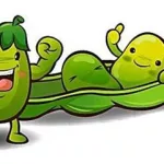 豌豆ip,豌豆ip官网缩略图