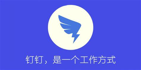 钉钉办公软件(钉钉办公软件介绍)缩略图