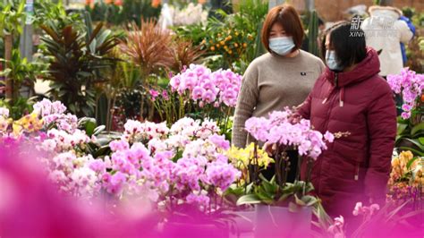 鲜花直播,鲜花直播间销量第一名缩略图